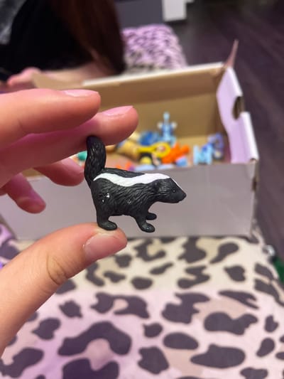 A person's fingers hold a small, black and white plastic toy skunk. The skunk is detailed with a white stripe running down its back and bushy tail. In the background, a cardboard box contains other blurred plastic toys. The scene appears to be indoors, with a person's dark hair and a purple and white patterned surface visible. The location is Ladozhskii Trudposelok, Russia.