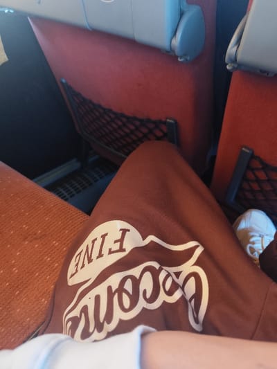 A person is seated on a train or plane, knees visible, wearing brown sweatpants with a large, stylized logo in white featuring the words "Coconut Fine." The seat is upholstered in a reddish-orange fabric. A white shoe peeks out from under the pant leg. The seat in front has a red fabric back and a mesh pocket. Part of another seat is visible to the left.