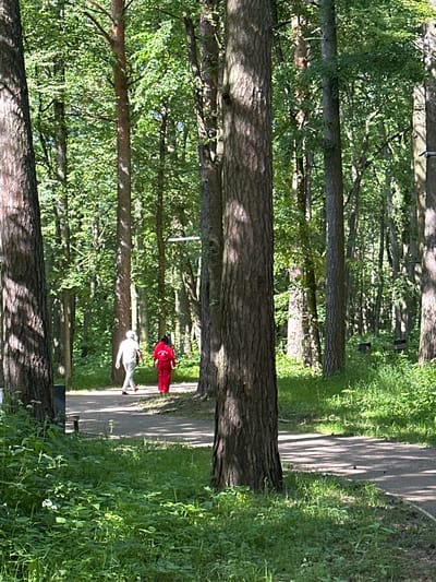 In Lukovnya, Russia, a paved path winds through a sun-dappled forest. Two individuals are walking along the path. One person, from behind, wears a white top and light-colored pants. The other person, also from behind, is dressed in a bright red tracksuit. The path is bordered by lush green grass and tall trees, creating a natural, serene environment. The scene suggests a casual stroll or exercise in a park or wooded area.