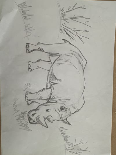 The image is a pencil sketch on paper depicting a rhinoceros. The rhinoceros is drawn in profile, facing left, with its body angled slightly upwards. Its thick legs are visible, and its distinctive horns are prominent on its snout. Shading is used to suggest the animal's musculature and the folds of its skin. The background is sparsely sketched, with indications of grass or foliage to the left and right, and some branching elements suggesting a sparse environment. The sketch is oriented vertically, and the paper appears to be slightly creased. There is no indication of a specific location within Mineralnye Vody, Russia.