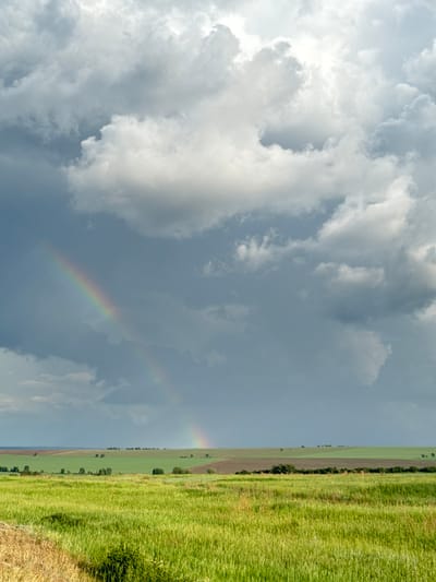 The image depicts a rural landscape under a dramatic sky, featuring a vibrant rainbow arching across the frame. The foreground is dominated by a lush, green field of grass, with a section of dry, golden straw visible on the left. Beyond this, rolling hills are divided into distinct agricultural fields, one a rich brown and another a lighter green. A line of trees marks the horizon, and a secondary, fainter rainbow is visible below the primary one. The sky is filled with a mix of dark, stormy clouds and brighter, illuminated clouds, suggesting recent or ongoing rainfall. The scene appears serene and natural, with no human figures or man-made structures prominently featured besides the agricultural fields and distant trees. The location is stated to be in Nikolopetrovka, Russia.