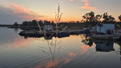 This media file depicts a serene waterfront scene at dusk, with the sky painted in hues of pink and orange from the setting sun. The foreground is dominated by a calm body of water, its surface rippled and reflecting the vibrant sky and the silhouettes of distant trees. A lone stalk of dried grass stands prominently in the center foreground, its delicate form catching the light.
In the middle ground, a small collection of structures and boats are visible along the shoreline. These appear to be simple, possibly makeshift, shelters or fishing huts, with at least one white, box-like structure clearly visible. Several small boats, one dark blue, are moored in the water or pulled onto the shore. A light blue vehicle is parked near one of the structures, adding a touch of modern life to the otherwise rustic setting. The shoreline is rocky and uneven, with sparse vegetation.
The background consists of a line of trees and a gently sloping hill. The overall atmosphere is peaceful and tranquil, evoking a sense of quietude often associated with the end of the day. The time of day is clearly sunset, indicated by the warm, diffused light and the colors in the sky and its reflection. The weather appears to be clear and calm, with no indication of wind or rain. The scene suggests a coastal or lakeside environment, likely a less developed area where fishing or small-scale maritime activities take place. No text is visible in the image.