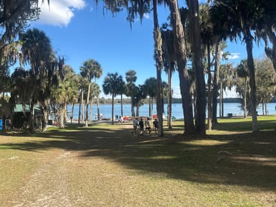 The image depicts an outdoor recreational scene by a lake in Micanopy, United States, under a clear blue sky with scattered white clouds. The foreground features a grassy area with visible worn paths and shadows cast by numerous trees. The environment is characterized by a mix of tall palm trees and live oak trees heavily draped with Spanish moss, framing a wide view of a calm lake in the background. On the left side of the midground, a dark-colored building with a green roof is partially visible. In the midground, a group of three individuals is observed carrying a long, narrow watercraft, consistent with a canoe or kayak, across the grassy terrain, moving generally towards the right. Two additional individuals walk nearby to their right. Along the waterfront in the background, several small groups of people are present near multiple smaller boats on the shore and a dock-like structure. One small vessel is visible on the water further out in the lake. The opposite shore is lined with dense trees and foliage.
