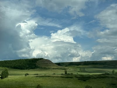 This image depicts a vast, verdant landscape under a dramatic sky. In the foreground, a sprawling meadow is dotted with scattered trees and low-lying bushes. The middle ground is characterized by rolling hills, with a dense evergreen forest covering the left side and extending up a rounded hill. Further to the right, more undulating hills are visible, with faint tracks suggesting agricultural activity or a path. The background is dominated by a dynamic sky filled with a mix of dark, heavy clouds and bright, wispy formations, with patches of blue sky peeking through. The overall impression is one of natural beauty and an expansive, open environment, possibly located in the rural outskirts of Kendektamak, Russia, given the geographical context provided, though no specific landmarks confirm this. There are no people or animals visible in the frame.