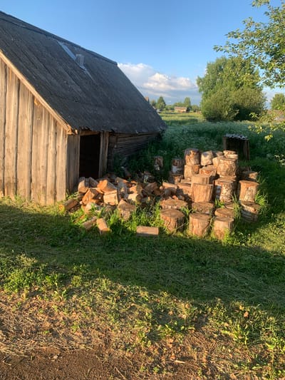 In a rural setting in the village of Svyatitsa, Russia, an old wooden structure with a weathered, gray, corrugated roof stands on the left side of the frame. The structure has vertical wooden planks forming its walls and an open doorway. Piled in front of the doorway and extending to the right are stacks of freshly cut logs and firewood. To the right of the building and the firewood, a field of green grass dotted with white wildflowers stretches into the distance under a bright blue sky with scattered white clouds. Trees, including a prominent birch tree, are visible in the mid-ground and background. The lighting suggests late afternoon or early evening, with long shadows cast across the grass.