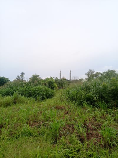 This is a landscape photograph taken in Ife, Nigeria, under an overcast sky, suggesting a cloudy or rainy day. The foreground is dominated by tall, lush green grass and various other plants, creating a wild and untamed natural setting. Beyond this dense vegetation, the midground reveals a cluster of trees and crops, possibly corn, indicating a rural or agricultural area. In the background, a striking mosque with two tall, slender minarets and a prominent dome stands out against the muted sky. The architecture of the mosque, with its light-colored construction, suggests it is a significant building in the vicinity. The overall impression is one of a serene, natural environment juxtaposed with a religious landmark, characteristic of many Nigerian landscapes. No people are visible in the image, and there is no visible text.