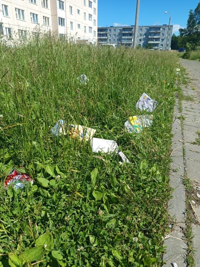 The image depicts an outdoor scene in Gdov, Russia, characterized by overgrown green grass and scattered litter. In the background, two apartment buildings are visible; one is a light-colored, multi-story building with many windows, and the other is a darker, more weathered structure with balconies. A paved walkway runs along the right side of the frame, bordered by the tall grass.
The grass is densely packed and appears unkempt, with various types of plants, including some with clover-like leaves and small white flowers. Interspersed within the grass are several pieces of litter. These include plastic bottles, crumpled paper or plastic packaging, and a red and white colored can or wrapper. The litter is predominantly located near the paved walkway and closer to the foreground of the image. The lighting suggests it is a bright, sunny day. No people are visible in the image. The overall impression is one of a public space that has not been recently maintained, with a noticeable accumulation of refuse.