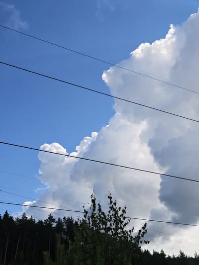 This is a vertical, eye-level outdoor photograph taken in Zelenodolsk, Russia. The image captures a dramatic sky scene dominated by a large, fluffy white cloud formation that stretches across the right side of the frame. The cloud is partially backlit by the sun, creating bright highlights on its edges and a more shadowed, gray interior. Beneath the clouds, a dense, dark line of pine trees forms the horizon. In the foreground, to the right, a cluster of green leafy branches from a deciduous tree is visible. Four parallel, thin black power lines traverse the image diagonally from the upper left to the lower right, passing in front of the clouds and trees. The sky itself is a vibrant blue, with a few wispy white clouds scattered in the upper left portion of the frame, contrasting with the large cumulus formation. The lighting suggests it is daytime, likely late afternoon or early evening due to the potential for dramatic cloud formations before sunset. The overall mood is one of natural grandeur and the juxtaposition of the man-made power lines with the natural elements of the sky and forest. There is no visible text in the image.