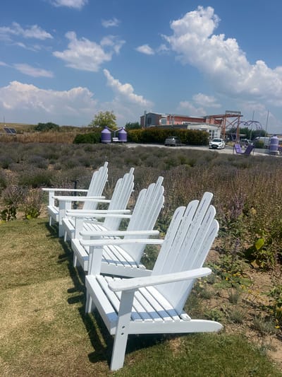 The media file displays a row of white Adirondack chairs placed on a grassy area overlooking a field of purple lavender. The chairs are arranged in a diagonal line, facing towards the right side of the frame. Each chair is decorated with a subtle pattern of lavender sprigs on the backrest. Beyond the lavender field, there are buildings, some purple tanks, and what appears to be a playground structure with purple and orange elements. A white car is parked in front of one of the buildings. The sky is bright blue with scattered white clouds, indicating a sunny day. The overall scene suggests a pleasant outdoor setting, possibly a tourist attraction or a farm with amenities for visitors. The time of day appears to be daytime, given the strong sunlight casting shadows from the chairs. The location is identified as Kardia, Greece. There is no visible text in the image.