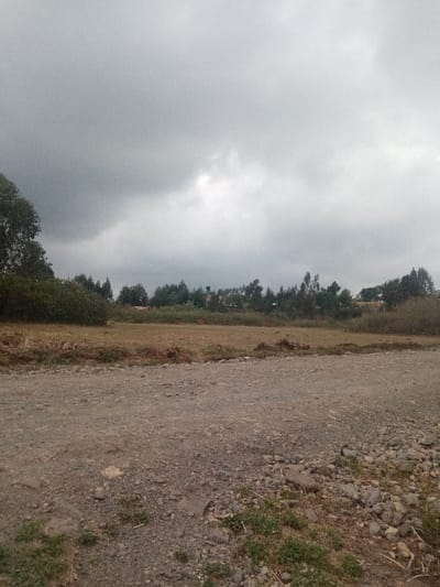 A landscape under a cloudy sky. A dirt road dominates the foreground, transitioning into a dry, grassy field. A line of trees and dense foliage forms the horizon, with hints of structures nestled among the trees. The overall scene suggests a rural or undeveloped area under overcast conditions. The ground is rocky and uneven near the road.