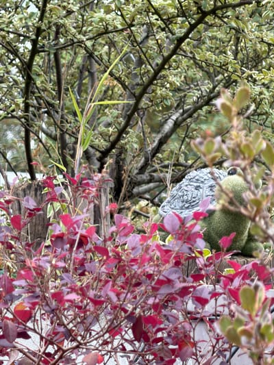 The original media file is a vertically oriented, close-up photograph of dense garden foliage in Champs-sur-Marne, France.

The scene is dominated by two distinct types of plant life. In the upper left quadrant, a bush or tree with numerous small, light green and silvery-grey leaves on intricate, dark branches fills much of the frame. Some long, thin blades of grass also extend from this area.

Towards the bottom right and central part of the image, another bush or plant with vibrant red and purple leaves creates a strong color contrast. These leaves are densely packed on slender, reddish-brown branches.

Partially hidden within the center of the dense foliage is a garden ornament. This object appears to be a green, textured creature, possibly a frog or similar animal, covered in a moss-like or flocked material. One prominent, round black eye is visible. Beneath its head, a grey, intricately patterned, stone-like or carved base is discernible, suggesting it's seated or resting.

The background is softly blurred, showing hints of additional greenery or trees behind the light green foliage, and a lighter-colored, possibly stucco or stone wall surface behind the red/purple leaves and the garden ornament. The lighting is soft and natural, indicative of daytime conditions, possibly under an overcast sky or in dappled shade. No specific activity is taking place, and there is no visible text within the image. The overall impression is a tranquil and lush garden detail.