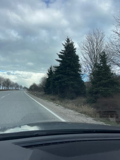 The image shows a road in Kamburovo, Bulgaria. The view is from inside a vehicle, looking out the side window. The road is wet and has a white dividing line. Trees line both sides of the road, with a mix of deciduous trees without leaves and evergreen trees. The sky is overcast with gray clouds. The overall environment suggests a rural or semi-rural setting. No people are visible.