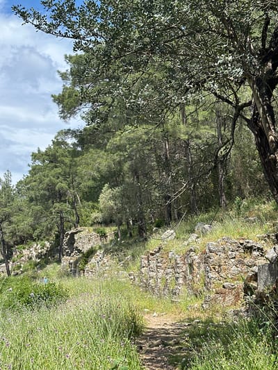 The image shows a landscape in Kumluca, Turkey. A dirt path runs alongside a stone wall covered in moss and small plants. Tall grass with small purple flowers grows along the path. Trees line the opposite side of the path, and branches of a large tree overhang the scene. In the upper left corner, a portion of the sky with scattered clouds is visible.