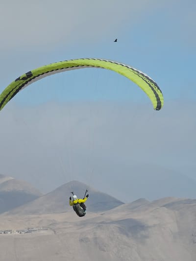 The image captures a paraglider soaring in the sky near Alto Hospicio, Chile. The paraglider, featuring a green and grey wing, is suspended above a mountainous landscape with a town nestled at its base. The pilot, equipped with a helmet and wearing a bright yellow jacket, is visible beneath the paragliding wing. In the distant background, a bird is flying in the clear sky.