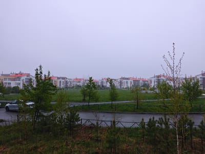 The photograph captures a residential area in the city of Мичуринский, Russia, under an overcast sky. Rows of multi-story apartment buildings with red-tiled roofs and light-colored facades line the horizon. A green space separates the buildings from the foreground, featuring a walking path and scattered trees. In the foreground, a variety of small trees and shrubbery grow alongside a dark-colored, wet road. A silver car is parked on the left side of the road. A low, black fence runs along the edge of the road, separating it from the foliage in the foreground.