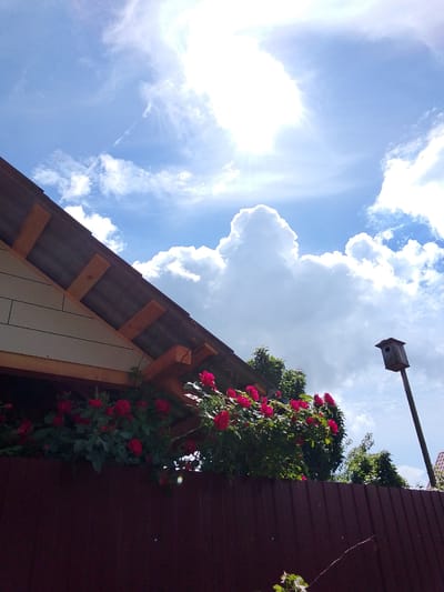 A low-angle, medium shot captures a vibrant scene against a bright, cloudy sky in Sviatok Novosibirskaia Oblast', Russia. The upper left portion of the frame is dominated by the angled roof of a building, with visible wooden beams supporting the dark, corrugated roof. The side of the building, clad in light-colored horizontal siding, slopes away from the peak. A dark reddish-brown fence runs across the lower portion of the image.

Cascading over the fence and onto the siding of the building is a profusion of bright red roses in full bloom, interspersed with lush green foliage. To the right of the building, a tall, slender wooden pole supports a dark, weathered birdhouse. The background is a dynamic sky filled with bright white, puffy cumulus clouds against a vivid blue. The sun is not directly visible, but its presence is strongly suggested by the intense brightness and lens flare in the upper right quadrant of the sky. In the far lower right corner, a sliver of a red-tiled roof is visible. The overall impression is one of a picturesque, sunny day in a rural or suburban setting.