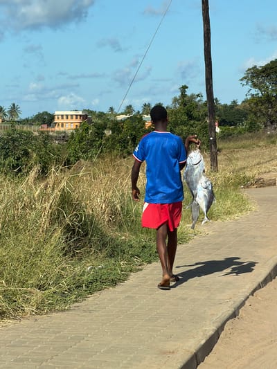 A person in a blue shirt and red shorts walks along a paved path in Pemba, Mozambique, carrying three silver fish. The path is bordered by tall grass and trees. A building is visible in the background, and a utility pole stands nearby. The person's shadow is cast on the path. The sky is blue with scattered clouds.