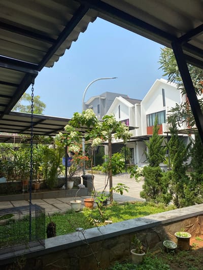 The image shows a residential backyard in Cibinong, Indonesia, on a clear day. The foreground is partially covered by a dark-colored metal roof structure, with a chain hanging from it. To the left, a black metal birdcage sits on the grass. The middle ground features a garden with various potted plants, a flowering tree with white blossoms, and a paved pathway. Beyond the garden, modern white houses with angular roofs are visible, and a grey building is situated behind them. The environment appears to be a suburban residential area.