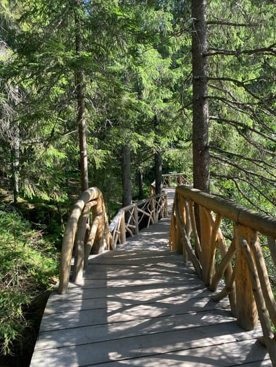 An outdoor, eye-level, full shot captures a rustic wooden boardwalk winding through a lush, sun-dappled forest. The boardwalk, constructed from weathered planks, features uniquely shaped, natural wood railings. The railing posts are sturdy, rounded logs, while the balusters are composed of intricately arranged branches, forming a natural, organic barrier. The walkway curves gently to the right, disappearing into the dense greenery. Sunlight filters through the thick canopy of tall evergreen trees, casting dappled shadows across the wooden surface, creating a dynamic play of light and shade. The surrounding forest is characterized by dense foliage, with a variety of trees and undergrowth creating a vibrant green backdrop. The image evokes a sense of natural tranquility and an inviting path through a serene woodland environment, likely situated within the natural landscape of Ruskeala, Russia, known for its picturesque forests and marble canyons. No people are visible in the scene.