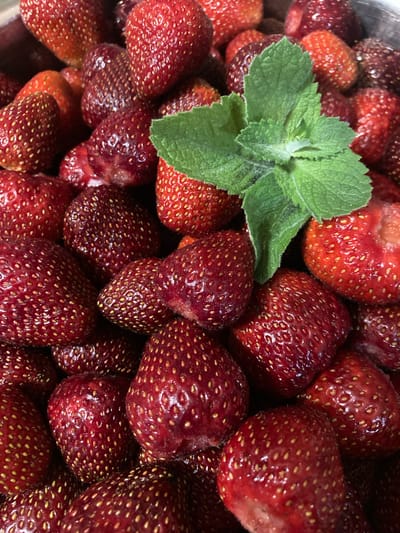 A close-up, overhead view shows a large pile of ripe strawberries. A sprig of fresh mint is placed on top of the strawberries. The strawberries are a deep red color and appear plump and juicy, with visible seeds on their surface. Some strawberries show signs of being freshly picked, with some leaves still attached. The mint leaves are a vibrant green and have a slightly fuzzy texture. The background is out of focus, suggesting the strawberries are in a bowl or container. There is no indication of the specific location within Матыкальскі сельскі Савет, Belarus, other than it is a place where strawberries and mint are grown or prepared.