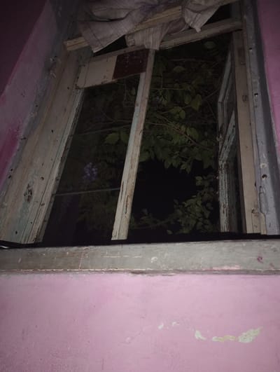 The image shows a dilapidated window frame against a pink, peeling wall. Through the broken window, dense foliage with green leaves and some purple flowers is visible against a dark background, suggesting nighttime or deep shadow. The window frame itself is made of aged, peeling wood and metal, with visible nails and screws. A piece of striped fabric is draped over the top of the window. The overall scene evokes a sense of abandonment or neglect. The location is specified as Kyzyltog (Krasnogorsk), Uzbekistan.
