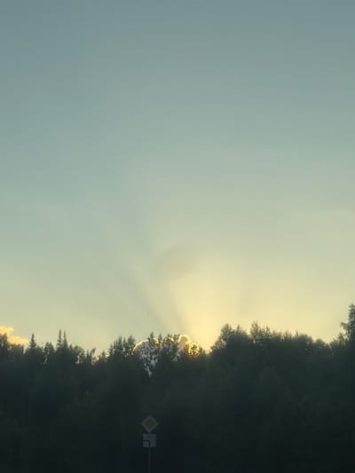 This media file captures a serene natural scene, likely taken in the late afternoon or early evening, given the soft, warm light of the sun. The sky occupies the majority of the frame, transitioning from a pale blue on the left to a hazy yellow where the sun is beginning to set behind a dense line of trees on the right. Sunbeams pierce through the foliage and thin clouds, creating a dramatic and ethereal effect. The trees appear dark and silhouetted against the brighter sky, suggesting a thick forest or woodland.
In the middle ground, to the right of the frame, a road sign is visible, featuring a white diamond shape with a yellow border, and another smaller, rectangular white sign below it. These signs, along with the presence of a road implied by the signs, suggest this is a rural or semi-rural location, possibly along a route through the forest. There are no people or distinct objects other than the road signs, focusing the scene entirely on the natural landscape. The overall mood is peaceful and tranquil, evoking a sense of the quiet beauty of nature at dusk. There is no discernible text in the image besides what is on the road signs, which are standard traffic symbols and not legible in terms of words or numbers. The location context provided, Михайловка, Russia, suggests this scene is situated in a Russian landscape.