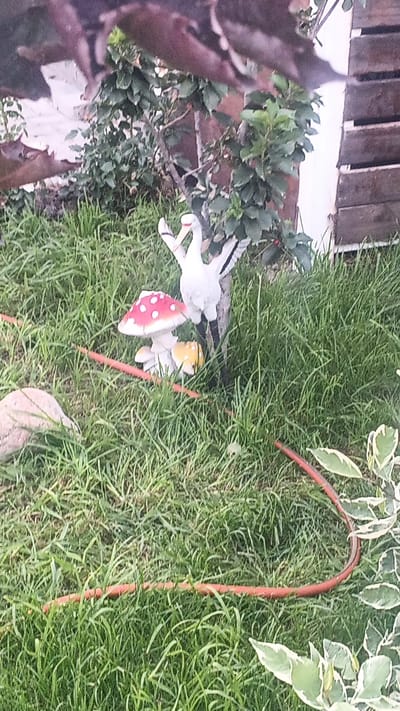 The image shows a garden scene with several decorative objects. In the center, there is a white bird figurine with black markings on its wings and legs, its beak is open. The bird is standing next to a decorative mushroom with a red cap and white spots, and a smaller yellow mushroom. The objects are placed on a patch of green grass. In the foreground, a red hose is visible, snaking across the grass. In the background, there are green bushes and a wooden structure. The overall impression is a whimsical garden decoration. The location is specified as Choktal, Kyrgyzstan.