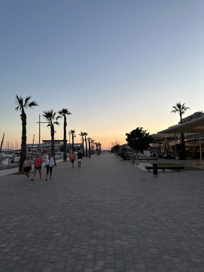 The image depicts a coastal scene in Santa Pola, Spain, at what appears to be dusk or sunset. The sky shows a gradient of colors from blue to orange. Along a pedestrian walkway paved with grey brick, several palm trees line the left side of the image, silhouetted against the colorful sky.
People are strolling along the walkway. On the right side of the image, there is a structure with open-air seating, potentially a restaurant or cafe. In the distance, there is a harbor with boats and possibly additional buildings.