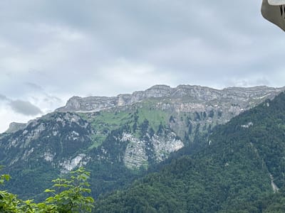 The image captures a panoramic view of a majestic mountain range under a cloudy sky, likely in the vicinity of Bönigen, Switzerland. The mountains are characterized by their rugged, layered rock formations at the peak, transitioning into lush green slopes covered with dense coniferous forests. Streaks of snow are visible on the upper parts of the mountains. In the foreground, the tops of leafy green trees are visible, suggesting the viewpoint is from a lower elevation, possibly a residential area or a vantage point overlooking the valley. There are no people or animals visible in the scene. The overall environment is natural and mountainous, with overcast weather conditions.