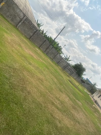The image depicts an outdoor scene in Ozuaha, Nigeria, under a partly cloudy sky. The foreground is dominated by a large area of green grass, exhibiting patches of dry, brownish grass. A gray concrete block wall, approximately 2 meters high, extends horizontally across the midground, forming a boundary. Behind this wall, several tropical plants, possibly banana trees, are visible. To the right of the frame, a wooden utility pole with multiple overhead power lines stands vertically against the sky. Further right, a structure composed of interconnected metal or wooden frames or scaffolding is present. A dark, circular satellite dish is mounted on a pole in the lower right midground. A section of a white building with dark-framed windows is partially visible in the far lower right corner. No individuals, discernible actions, or interactions are visible.