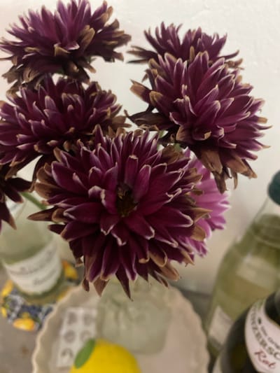 A close-up, top-down shot showcases a bouquet of deep purple chrysanthemums with dried, brown tips. The flowers are arranged in a clear glass vase, partially visible at the bottom. Behind the flowers, two bottles are present. The bottle on the left is light green and out of focus, while the bottle on the right is darker green and also out of focus, with a label that is partially visible. The background is a plain, off-white wall. The overall lighting is soft, with some shadows cast on the wall. The image appears to have been taken indoors, likely in a residential setting. The location is Lütjenwestedt, Germany.