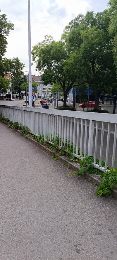 The image shows a pedestrian overpass in Waiblingen, Germany. The overpass has a white metal railing and a concrete sidewalk. Green vegetation is growing along the edge of the sidewalk. In the background, there are trees, buildings, and a street with traffic. A bus is seen on the street, as well as several cars and pedestrians. The sky is cloudy.