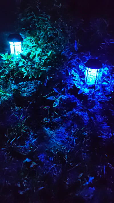 This media file is a still photograph of plants illuminated by artificial lights, creating a dark, atmospheric scene. The plants appear to be dense foliage with various textures, some with broad leaves and others with finer, grass-like blades. The lighting is predominantly blue and teal, casting vibrant glows on the vegetation and creating deep shadows. Two cylindrical light fixtures are visible, one towards the bottom left and another towards the top right, emitting the colored light. The light from the fixture on the left is more concentrated on the leaves, giving them a bright green and teal hue. The light from the fixture on the right illuminates the foliage with a more intense blue. The overall impression is that of an outdoor setting at night, possibly a garden or park, where the plants are artificially lit for aesthetic purposes. There is no visible text, people, or discernible weather conditions. The lack of natural light suggests it is nighttime. Given the provided location context of Zhytomyr, Ukraine, this scene likely depicts an illuminated outdoor space within that region.