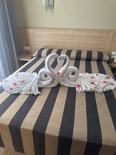 The image shows a hotel bed with a towel animal created from white towels, decorated with red rose petals. The towel animal is shaped like a swan with its neck elegantly curved, placed on a bed with striped bedding in beige and dark gray. The room appears to be a hotel room, with a wooden headboard and a wall-mounted light fixture visible to the left. A light switch and electrical outlet are also visible on the wall. The overall scene suggests a welcoming gesture from the hotel staff, possibly a romantic setup or a special amenity for guests. The lighting in the room is soft, suggesting it could be daytime. The location is identified as Lloret de Mar, Spain. There is no visible text in the image.