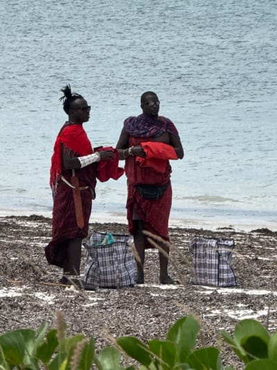 This image captures a beach scene in Zanzibár, Tanzania. Two dark-skinned individuals, appearing male, stand on a debris-covered sandy beach facing each other, with calm ocean water in the background.

The individual on the left wears a dark red lower garment and a bright red shawl draped over the shoulders and chest, leaving the right arm exposed. This person has hair styled in a topknot, wears dark sunglasses, and has a multi-banded, possibly beaded, cuff on the right forearm. A sheathed, dark-handled blade, appearing to be a short sword or large knife, hangs from a belt on the left hip. This individual holds a folded red fabric item in the left hand and gestures towards the second person.

The individual on the right wears a dark red garment wrapped around the lower body and a patterned blue, red, and white shawl draped over the shoulders and chest. This person also wears dark sunglasses or eyeglasses and a black fanny pack or waist bag around the waist. A folded red fabric item is held in both hands at chest level.

On the ground near their feet are two large, rectangular, plaid-patterned woven tote bags in shades of grey, white, and black. A light blue item is visible inside the left bag. The beach surface is predominantly covered with a dense layer of dark brown organic matter, likely seaweed or seagrass debris. The background consists of light blue ocean water with minimal surface disturbance. In the immediate foreground, out-of-focus green foliage is visible.