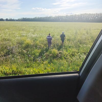 Two people are walking through a grassy field filled with wildflowers. One person is wearing a purple sweatshirt and the other is wearing a dark t-shirt and shorts, and a hat. The field is lush and green, with scattered patches of white and purple flowers. In the distance, a line of trees forms the horizon, and beyond that, a hazy blue sky with scattered clouds. The sun appears to be bright, suggesting it is daytime, likely late morning or early afternoon. The image is taken from inside a vehicle, with the edge of a car door visible in the foreground. The overall mood is peaceful and serene, evoking a sense of exploration or leisurely stroll in nature. The location is identified as Bulgakovo, Russia. There is no visible text in the image.