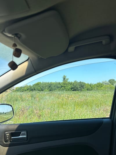 The image is taken from inside a vehicle, looking out the passenger-side window. In the foreground, the interior of the car is visible, including a gray sun visor with a fuzzy dice ornament hanging from it, a grab handle on the ceiling, and the car door panel with a silver door handle and lock button. The window is open, and a green meadow stretches out beyond the car. The meadow is filled with various grasses and wildflowers, some of which appear to be purple and white. In the background, there is a dense line of green trees, and above that, a clear blue sky. The image depicts a rural or semi-rural environment, potentially on the outskirts of the city of Ленинское, Russia, on a sunny day. There are no people or specific actions depicted in the image.