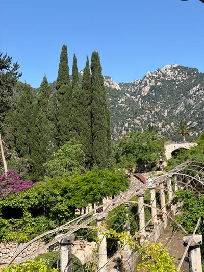 The image shows a view of a stone structure overgrown with greenery and flowers, possibly located in or near the city of Bunyola, Spain, given the mention of its location. A mountainside looms in the background under a clear, blue sky. A series of tall, thin, evergreen trees stand vertically in the midground. In the foreground, there is an arched, metal structure over a series of stone steps and vegetation. The scene is illuminated by bright sunlight, with no people visible.