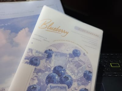 The image shows a close-up of two open notebooks or binders. The foreground binder has a translucent cover with a pastel blue and purple watercolor illustration of blueberries and ice cubes, resembling a refreshing drink. The title "Blueberry" is prominently displayed in a golden, script font. Below the title, there is text in both Chinese and English. The Chinese text reads "要在不愉快的日子里 藏起来的温柔, X (搜刮生活)", which roughly translates to "In unhappy days, hide the tenderness, X (scavenge life)". The English text below says "LIFE IS NOTHING MORE THAN A FEW MEALS AND TEA". The background binder has a lighter blue cover with text that appears to be related to "YOUTH" and "hope and confidence". The overall aesthetic suggests a theme of personal reflection, well-being, or perhaps a journal. The lighting is soft, indicating an indoor setting, likely a desk or table, as a dark keyboard is partially visible in the lower right corner. The image does not contain any people or specific location cues that would suggest Keles, Uzbekistan.