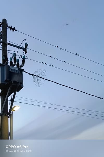 A streetlamp illuminates a utility pole with a transformer and several power lines in the foreground. Silhouetted against a pale blue sky, a flock of birds is perched on the wires. The sky has a soft gradient and appears slightly hazy. The bottom of the image contains text overlay: "OPPO A6 Pro 25 Juni 2026 pukul 06.19." The scene suggests an outdoor environment, possibly in a residential or semi-urban area, in Rheum Barat, Indonesia.