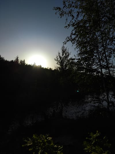 The image depicts a serene natural landscape at dusk. The sun, a bright orb, is low on the horizon, casting a warm glow and creating a silhouette of the trees lining a hill. The sky transitions from a pale blue at the top to a lighter hue near the sun, suggesting the end of the day.

In the foreground, lush green foliage is visible, adding a touch of vibrant life to the otherwise darkened scene. Beyond the foliage lies a body of water, its surface rippling, reflecting the dim light of the sky. The banks of the water are dense with vegetation and reeds, contributing to the wild, untouched feel of the location. Tall trees with delicate leaves frame the right side of the image, their branches reaching towards the sky, partially obscuring the view of the setting sun.

The overall mood is peaceful and tranquil, evoking a sense of calm and solitude. The low light and silhouetted forms create a dramatic yet soothing atmosphere. The time of day is clearly sunset or sunrise. There is no visible text in the image. The setting appears to be a natural environment, likely a lake or riverbank surrounded by woodland, consistent with the context of Korosten, Ukraine.