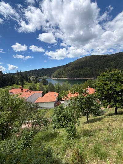 The image shows a scenic view of a lake and a forested hillside, with several houses with orange tiled roofs in the foreground. The sky is blue with scattered white clouds. The houses appear to be located in a village or small town. The lake is calm and reflects the surrounding trees and sky. The hillside is covered in dense evergreen trees. The foreground is a grassy slope with some trees and bushes. The overall impression is one of natural beauty and tranquility. The location is the city of Dospat, Bulgaria, known for its beautiful lake and surrounding forests.