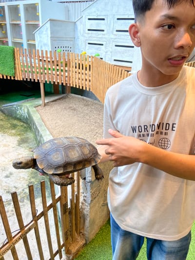 A young man in a white t-shirt with the word "WORLDWIDE" printed on it and blue jeans stands in front of a tortoise enclosure. The man is holding the tortoise in his hands, displaying it to the camera. The enclosure features a wooden fence and a sandy ground. In the background, there are buildings with cages, possibly for birds, and a green artificial turf. The scene appears to be at an animal exhibit or petting zoo in Rengat, Indonesia.