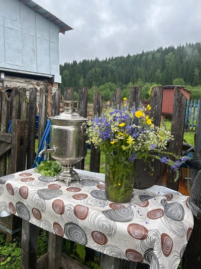 The image depicts an outdoor scene on a cloudy day, with a focus on a table set for tea. A large, ornate silver samovar stands on the left side of the table, with a blue hose coiled behind it. To the right of the samovar, a bouquet of wildflowers, predominantly blue and yellow, is arranged in a clear glass vase. The table is covered with a tablecloth featuring a pattern of concentric circles in brown, gray, and white. In the background, a weathered wooden fence separates the foreground from a dense forest of coniferous trees. A section of a rustic building with a corrugated metal roof is visible to the left, and a small red structure, possibly a shed, is situated behind the fence on the right. The overall impression is a rustic, traditional setting, likely in a rural area. The provided location information states the scene is in Urshady, Russia, which aligns with the visual cues of a rural, forested landscape and traditional samovar.