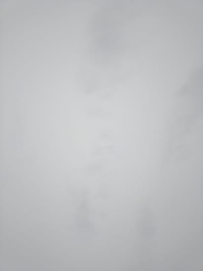 The image is a close-up, overhead view of a gray, textured surface. The texture appears to be slightly uneven and granular, with subtle variations in shade creating a mottled effect. There are no discernible objects, people, actions, or interactions visible in the image. The lighting is soft and diffuse, indicating an overcast environment or indirect illumination. The scene is devoid of any recognizable features that would allow for the identification of a specific location within Jauro Garmaho, Nigeria, or any other city.