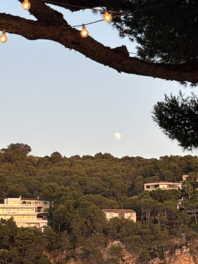 The image captures a serene evening scene in Es Camp De Mar, Spain. In the foreground, a thick tree branch, possibly from a pine tree, stretches across the top of the frame. String lights with warm yellow bulbs are suspended from the branch, casting a soft glow. The sky above is a clear, pale blue, indicating either dawn or dusk.

Further down, a lush, green hillside is densely covered with pine trees, characteristic of the Mediterranean landscape. The trees create a textured carpet across the terrain. Scattered amongst the trees are several modern villas with white exteriors and large windows that reflect the warm light of the setting sun. One villa, in particular, features multiple levels with expansive glass facades. Another smaller, older-looking building with a red-tiled roof is also visible.

High in the sky, a full moon is clearly visible as a bright, circular orb, adding a touch of celestial beauty to the scene. The overall atmosphere is tranquil and picturesque, showcasing the natural beauty of Es Camp De Mar juxtaposed with elegant residential architecture.