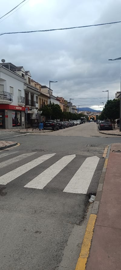 The image depicts a street scene in Pizarra, Spain, under a heavily overcast sky. The foreground features an asphalt road with a pedestrian crossing marked by three prominent white stripes, leading diagonally right. A reddish-brown sidewalk with a yellow-painted curb runs along the right edge, where a crumpled piece of white litter is visible.

On the left side of the street, a row of multi-story buildings with white facades and red-tiled roofs extends into the distance. The closest building features a red "MAPFRE" sign on its ground floor and a balcony with black railings on an upper floor. A satellite dish is mounted on the roof of the leftmost building. A blue pedestrian sign is visible near the Mapfre building.

The street is lined with parked vehicles on both sides, primarily dark-colored cars, facing generally away from the viewer. Blue temporary barriers are placed alongside the parked cars on the left. Dark-colored streetlights with modern luminaires are spaced regularly along both sides of the street. Trees with dense green foliage are planted along the right sidewalk, between the parked cars and the pavement.

In the mid-ground, the street recedes, revealing more buildings, parked cars, and trees. A distinctive orange-hued archway structure is visible on the left side further down the street. In the far background, distant mountains or hills are discernible beneath the low, grey cloud cover. A single, indistinct person is visible on the far right sidewalk, walking away from the camera. No active traffic is visible on the road, suggesting a quiet moment.