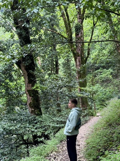 A person in a light green hooded sweatshirt and black pants is walking along a path in a wooded area. The path is covered in gravel and is flanked by lush green vegetation, some with small purple flowers. Mature trees with moss-covered trunks and leafy branches surround the path, creating a dense canopy above. The image was taken in Tsabal, Abkhazia.