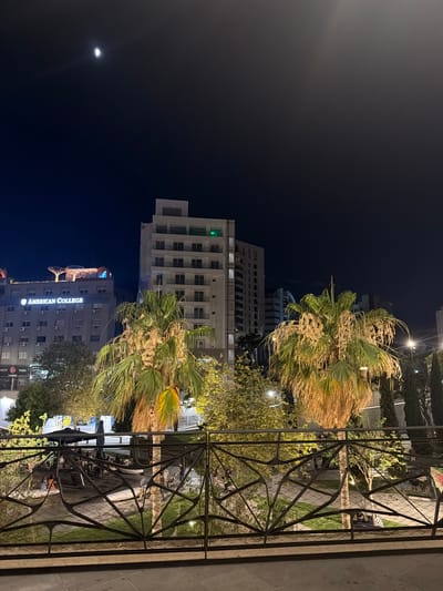This image depicts a night scene in Nicosia, Cyprus, featuring an urban landscape with buildings and palm trees. The moon is visible in the dark sky, suggesting it is nighttime. A tall, modern building with many windows and green lighting on one of its upper floors dominates the background. Below it, another building displays illuminated signage that reads "AMERICAN COLLEGE". Adjacent to this building, there are outdoor seating areas with umbrellas, suggesting a commercial or dining establishment. Palm trees with dry, straw-like fronds are prominent in the foreground and midground, their textures illuminated by artificial lights. A decorative metal railing runs along the right side of the image, partially obscuring the view of the scene beyond. The overall impression is of a vibrant, well-lit urban environment at night, likely a public space or commercial district. There are a few indistinct figures visible in the distance, possibly patrons of the outdoor seating area or pedestrians. The weather appears to be clear, given the visibility of the moon and the absence of rain.