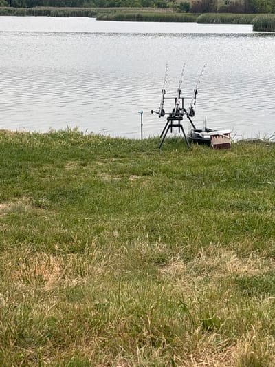 This image depicts a fishing scene on the grassy bank of a body of water in Stefanovo, Bulgaria. The foreground consists of natural, unkempt grass, exhibiting variations in color from vibrant green to dry, light brown patches.
In the midground, near the water's edge, a black, three-legged rod pod supports three fishing rods, each fitted with a reel. To the immediate left of the rod pod, a single, slender, light-colored bank stick is inserted vertically into the ground. To the right of the rod pod, a dark-colored tub rests on the grass, adjacent to a smaller, rectangular container with a light body and a brown, serrated-edged lid. A dark, possibly netted item is partially visible on the ground further to the right.
The background features a wide, calm body of water with subtle ripples visible on its surface, reflecting a pale, possibly overcast sky. The far bank is densely lined with tall green reeds or aquatic vegetation. Beyond the reeds, a distant band of green trees or bushes completes the horizon. No individuals are visible in the scene.